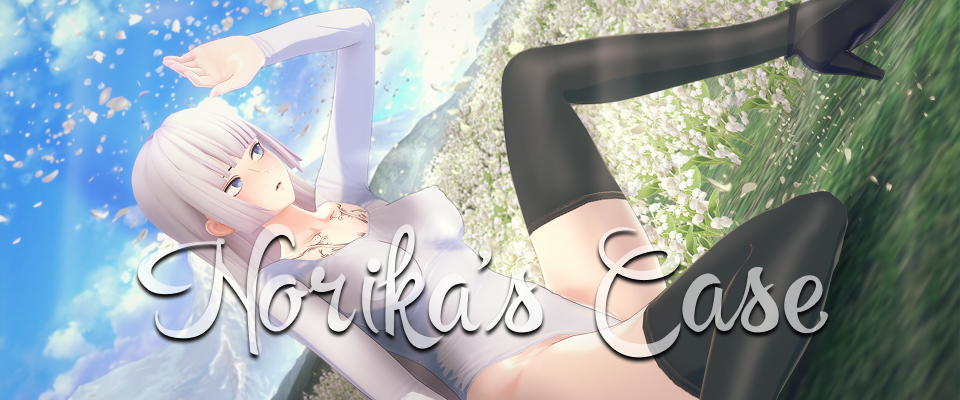 Norikas's case